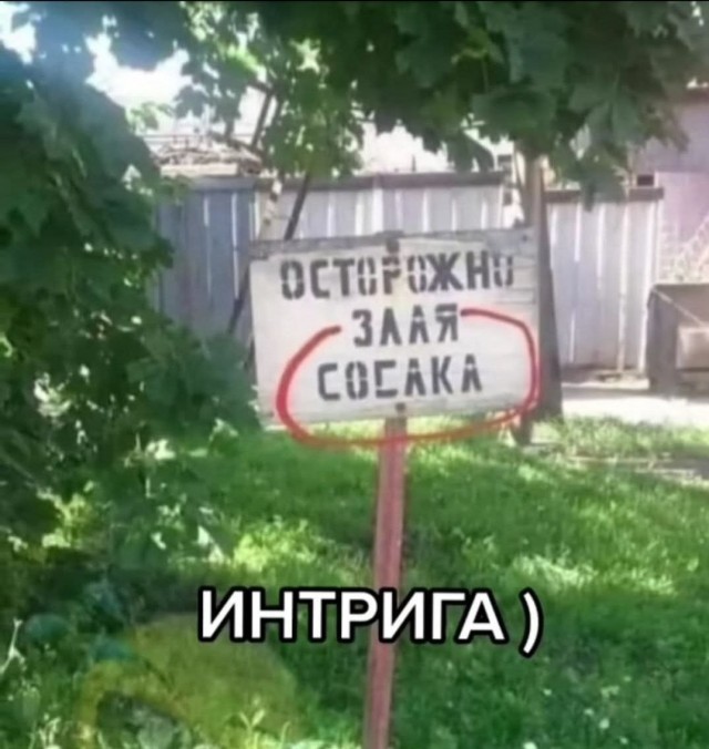 Так себе картинки 23.05.25
