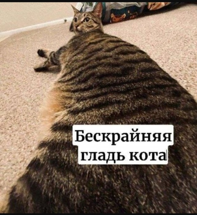 Юмор для тех, кто уже повзрослел и понял, что «выходные» — это просто два дня на уборку