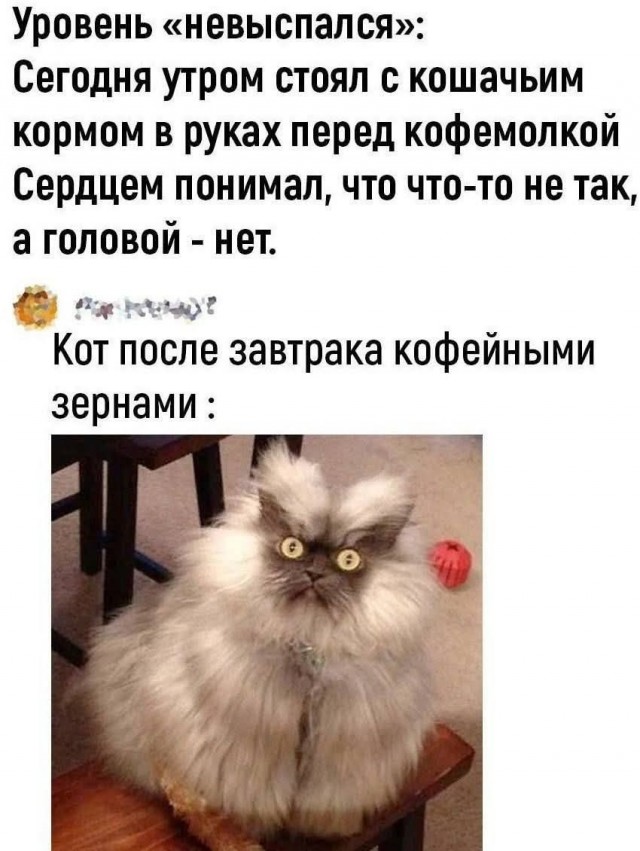 Маленькая пятница 23.07