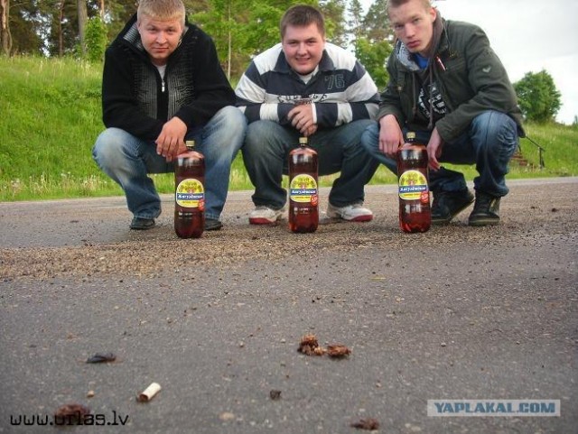 Дикие фото из социальных сетей