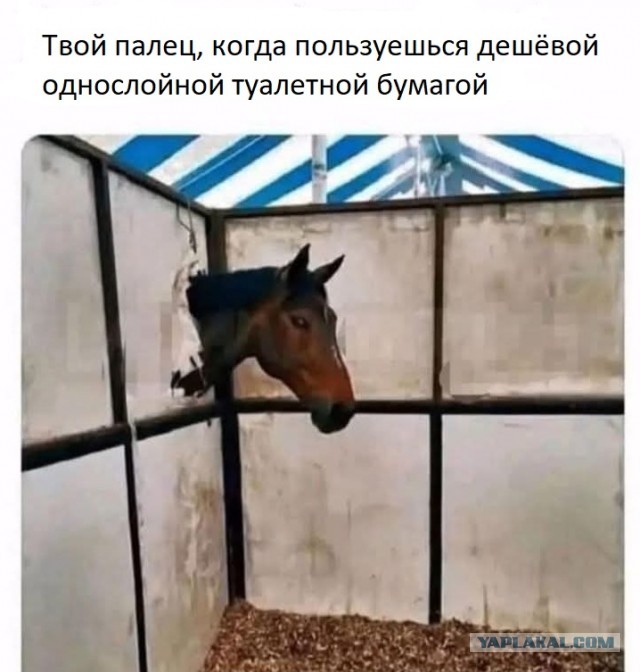 Картинки для деградации 28 (разной степени свежести)