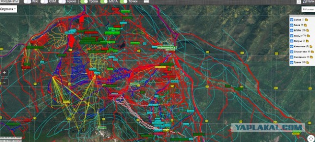 Новая версия о пропавшей семьи Усольцевых: Странные нестыковки.