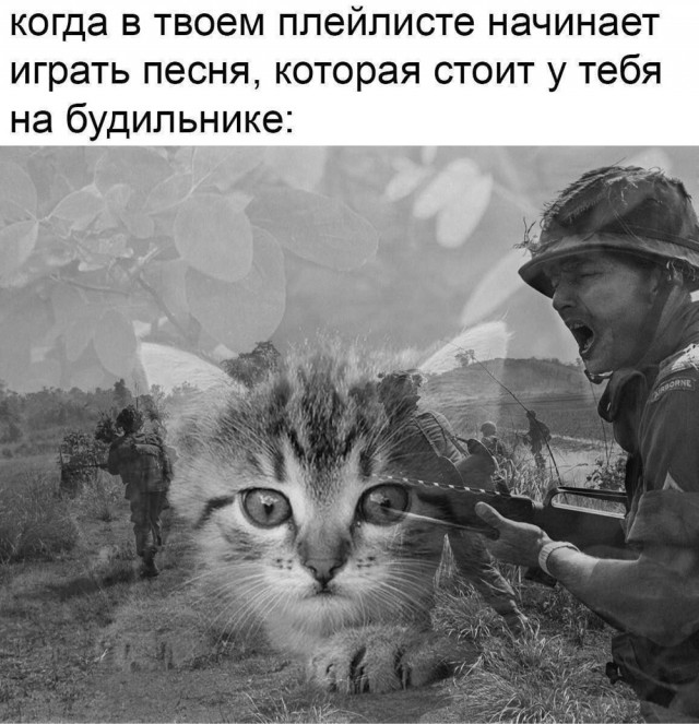 Скоро выходные и ноябрь
