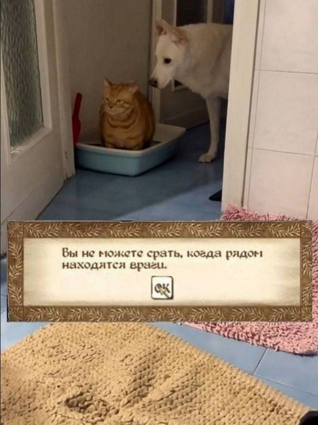 Четверговые разности в картинках