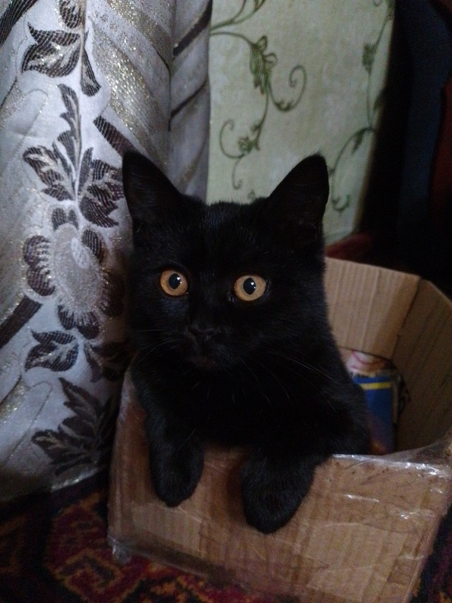 Кажется мы стали забывать