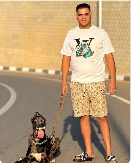 Не волнуйся, он не кусается.