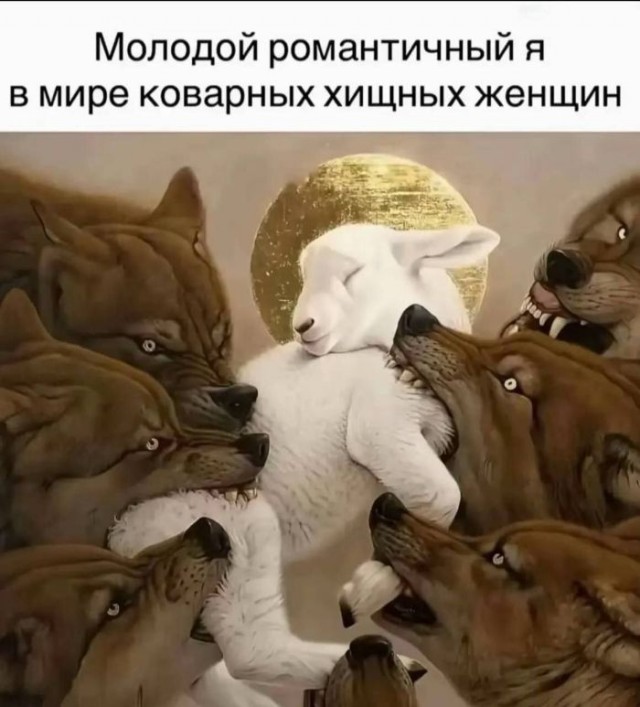 Картинки для деградации 110 (разной степени свежести)