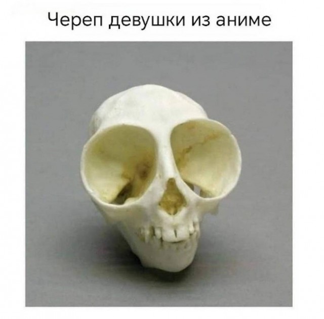 Веселые картинки в пятницу (16.01)