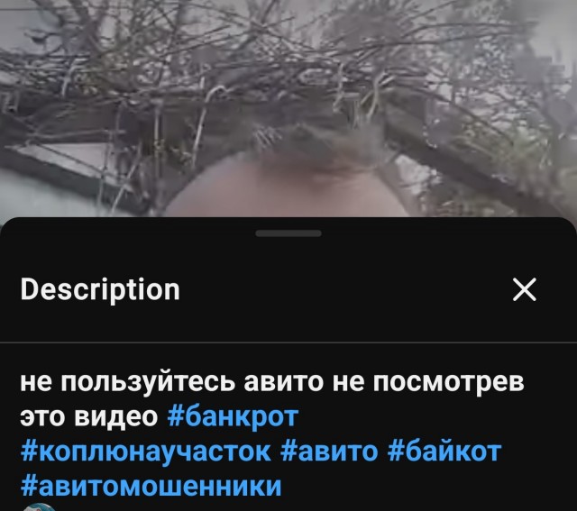 Бойкот Авито