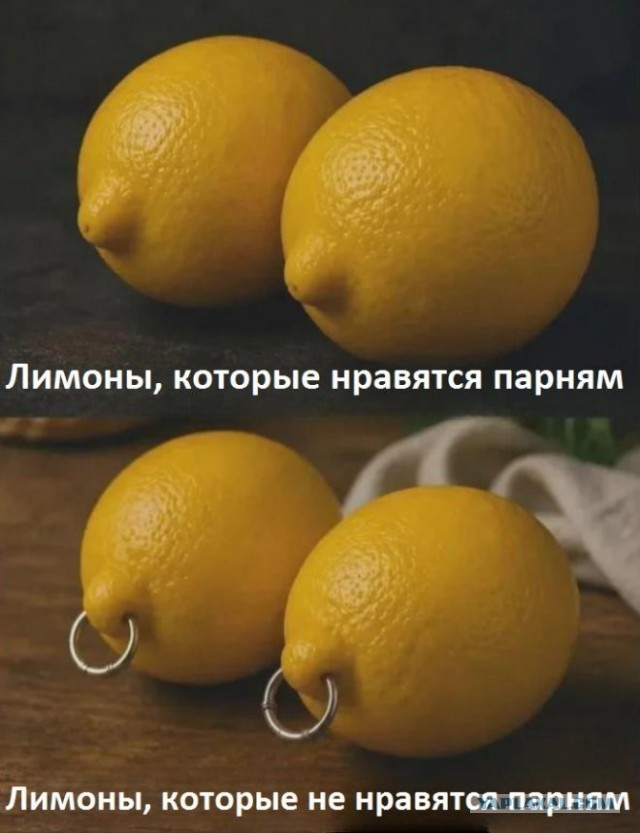 Веселые картинки в пятницу (05.06)