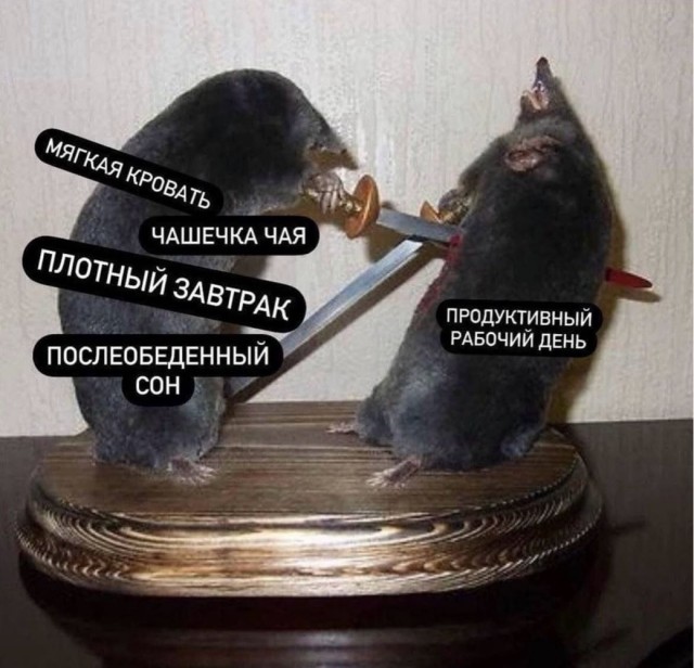 Картинки новые и старые, баяны и аккордеоны