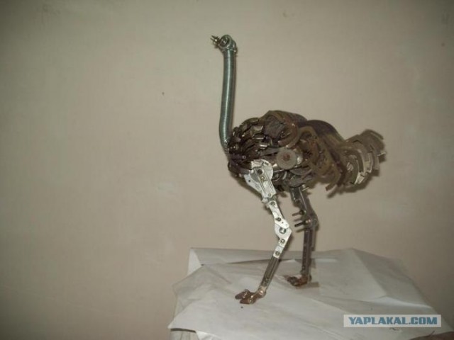 Железный страус