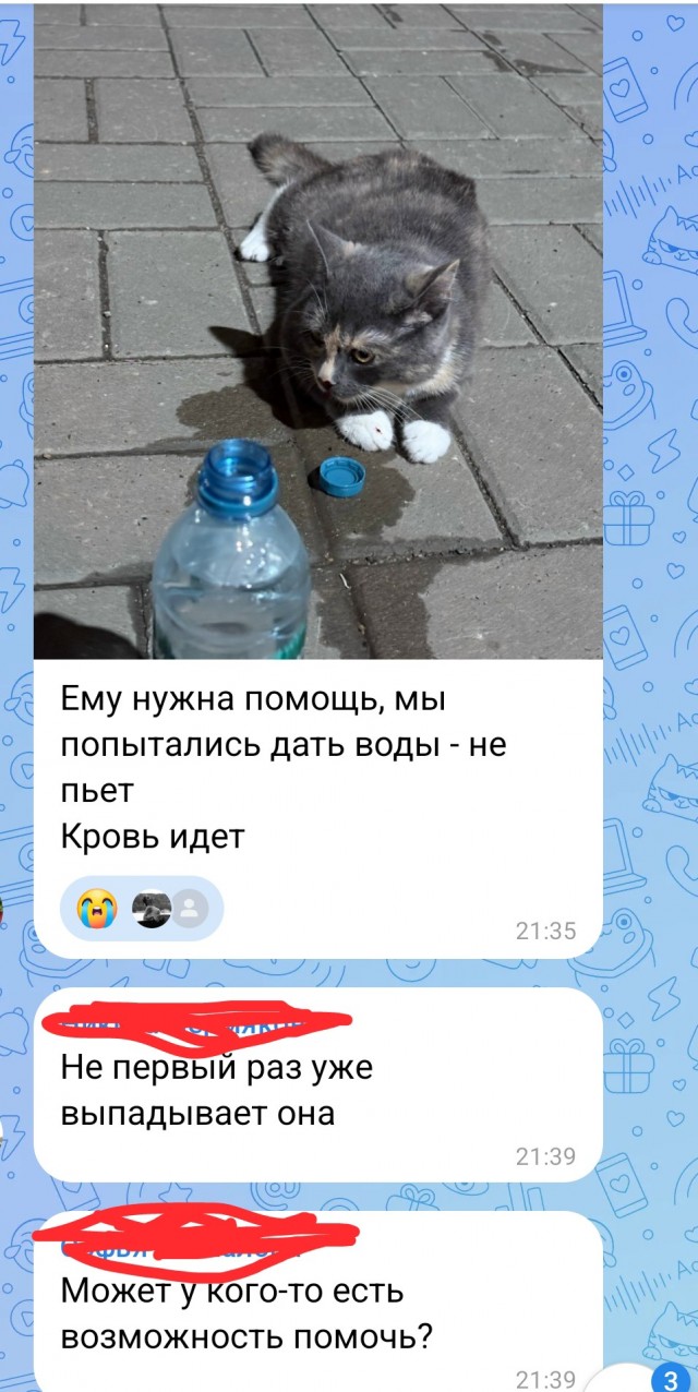 Я верю