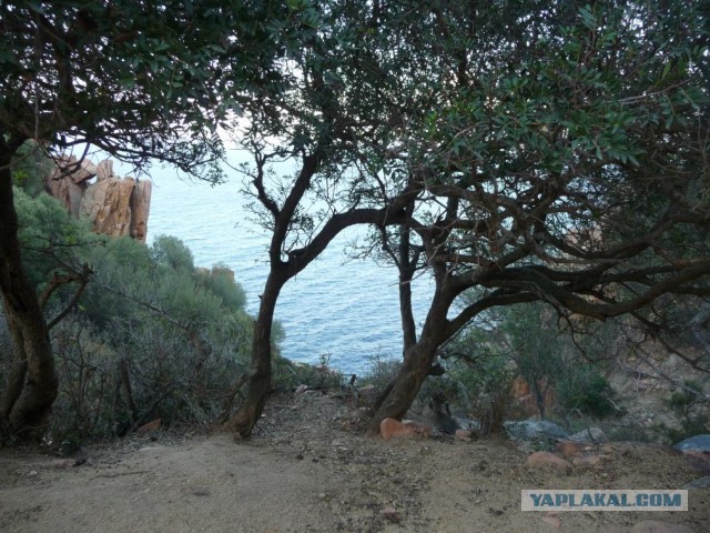 Деревенская Америка