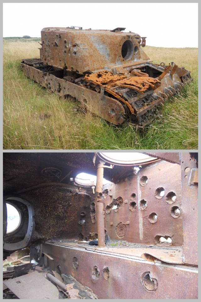 Wargaming 8
