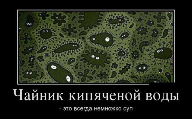 В спелом инжире всегда содержатся останки