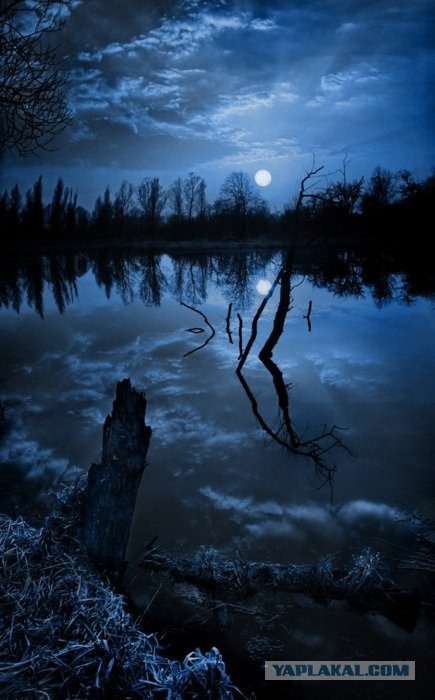 Мне нравится природа