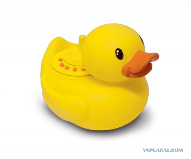 Когда друга укусила оса