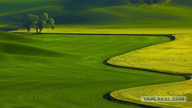Когда зеленят все комментарии подряд