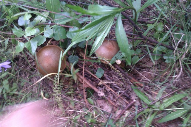 Просто выходные...