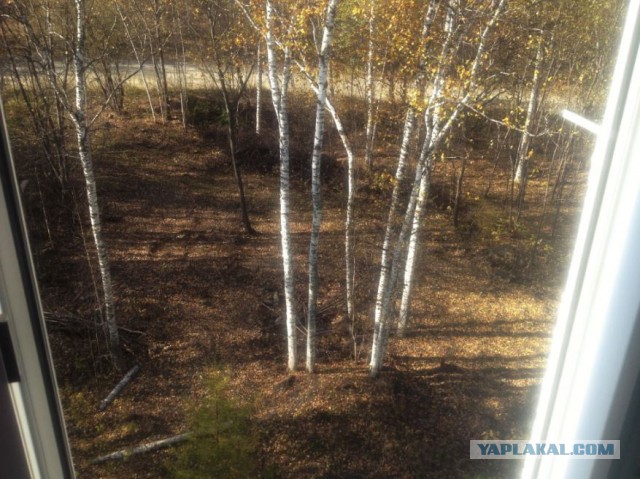 А что у Вас сейчас?