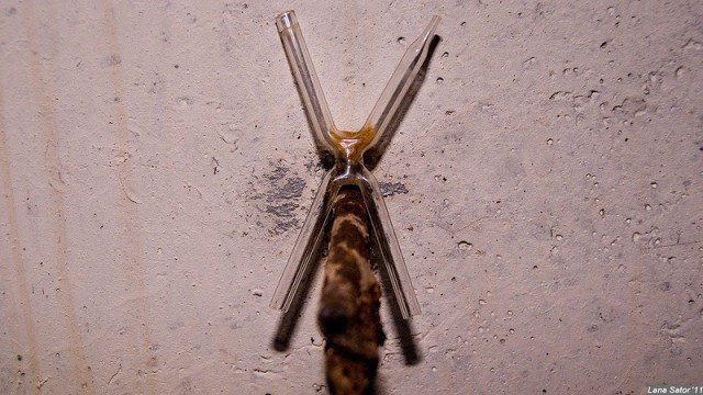 Заброшенный лизиметр