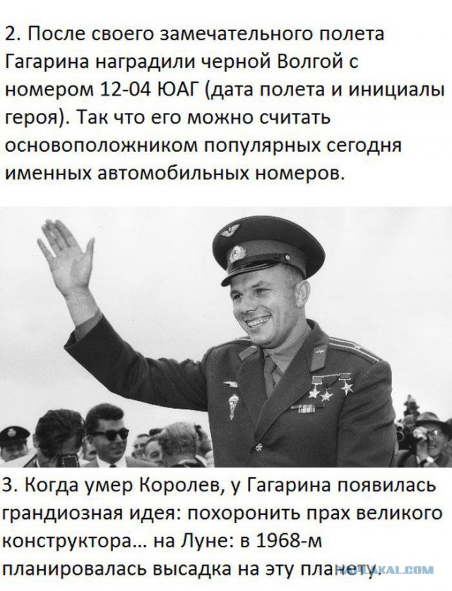 20 фактов обо всем
