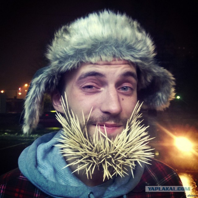 Борода. Перепись бород Япа.