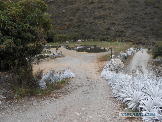 Рыбная ферма. Эквадор