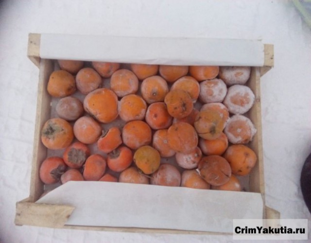 Как жители Якутска помогали дальнобойщику, заморозившему контейнер с фруктами