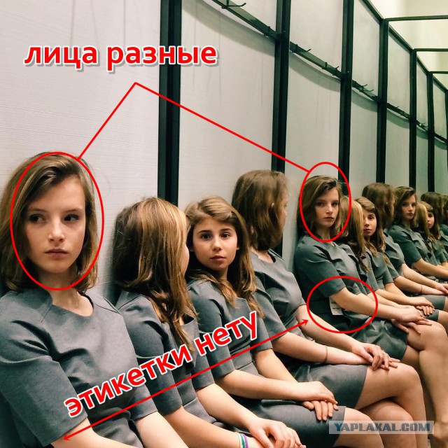 Сколько девочек на фото?