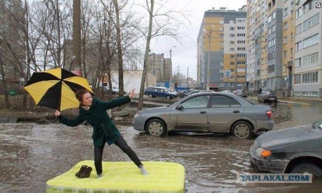 Авто приколы!