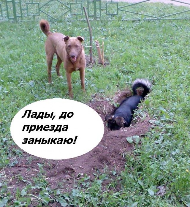 Фотожаба: да здесь где-то недалеко!