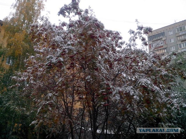 Люди «с Урала»: какие они