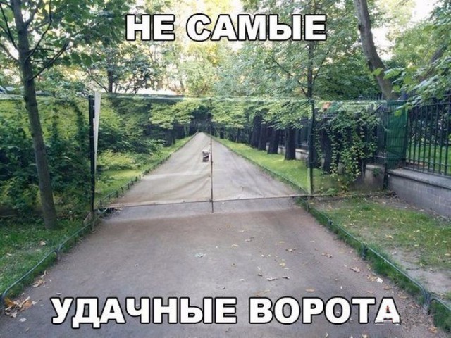 Веселые надписи и картинки
