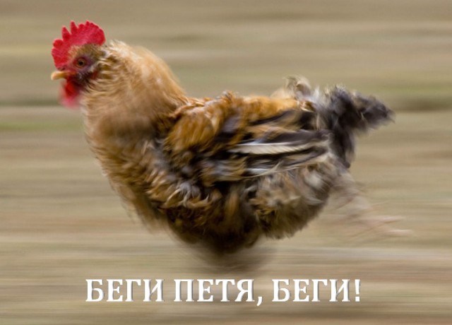 США недовольны Киевом и готовы "передать Украину" ЕС или России
