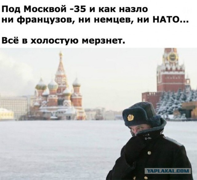 Подборка интересных и веселых картинок
