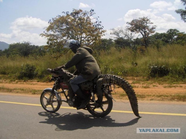 Подборка интересных и веселых картинок