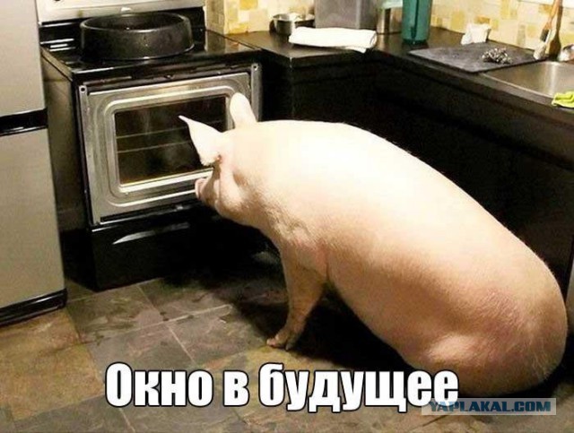 Картинки с анекдотами