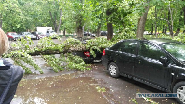 В Москве ураган!