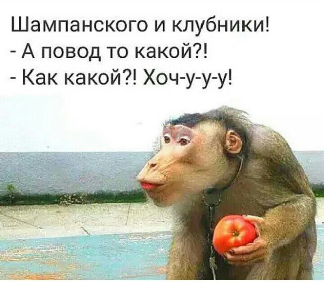 Картинки для тех, кто пахал и устал