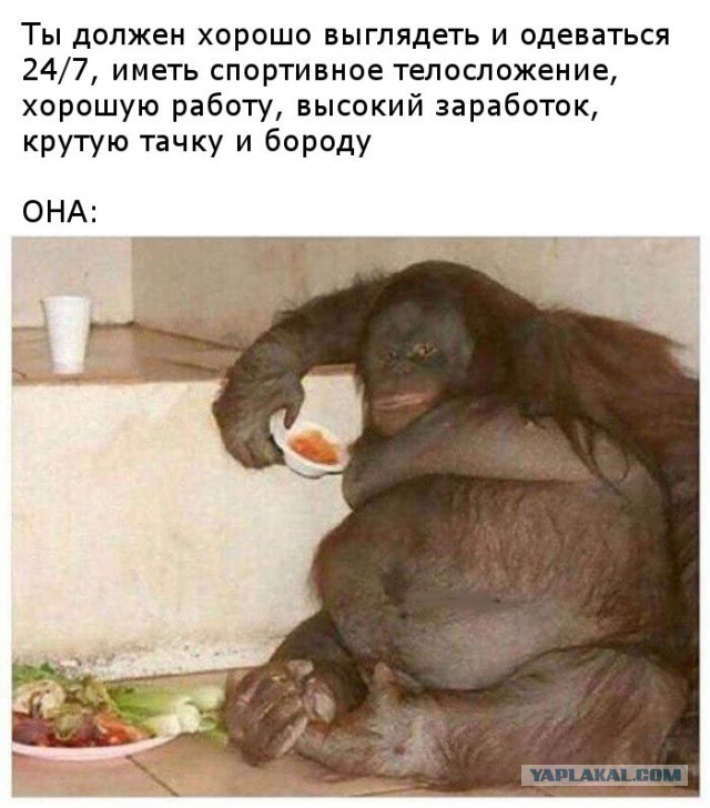 Не очень адекватный юмор