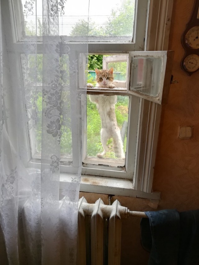 Картинки по-приколу