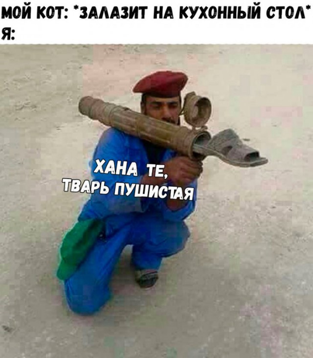 Фото и картинки с надписями
