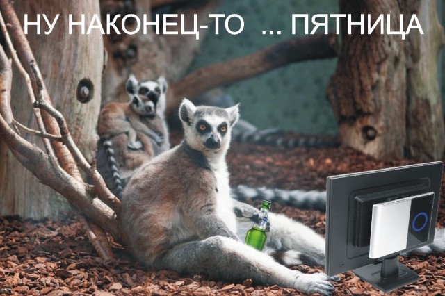 Пятница - начинаем готовиться к отдыху