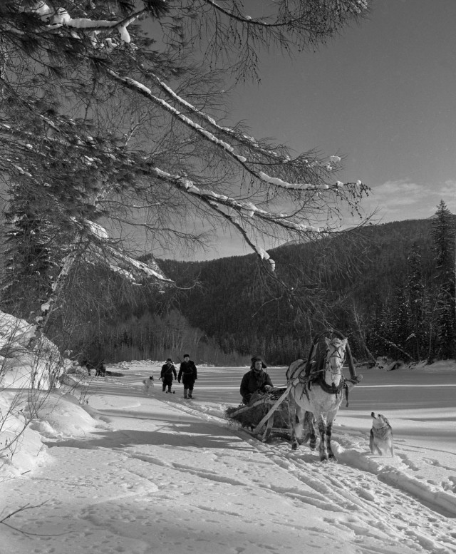 1950-е. Охота в Сибири на фотографиях Марка Степановича Редькина