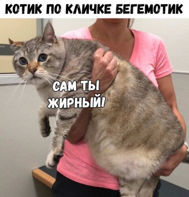 Дурацкие картинки