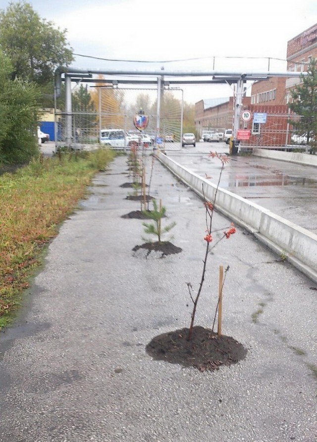 И всё-таки она наша. Лента картинок