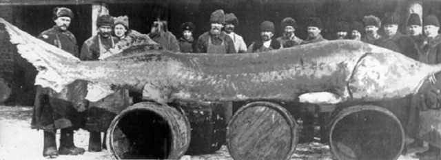 Про Калугу, но не про город