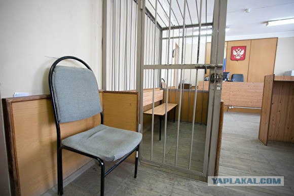 Первый случай применения закона о фейкньюс: будут судить активистку из Архангельска